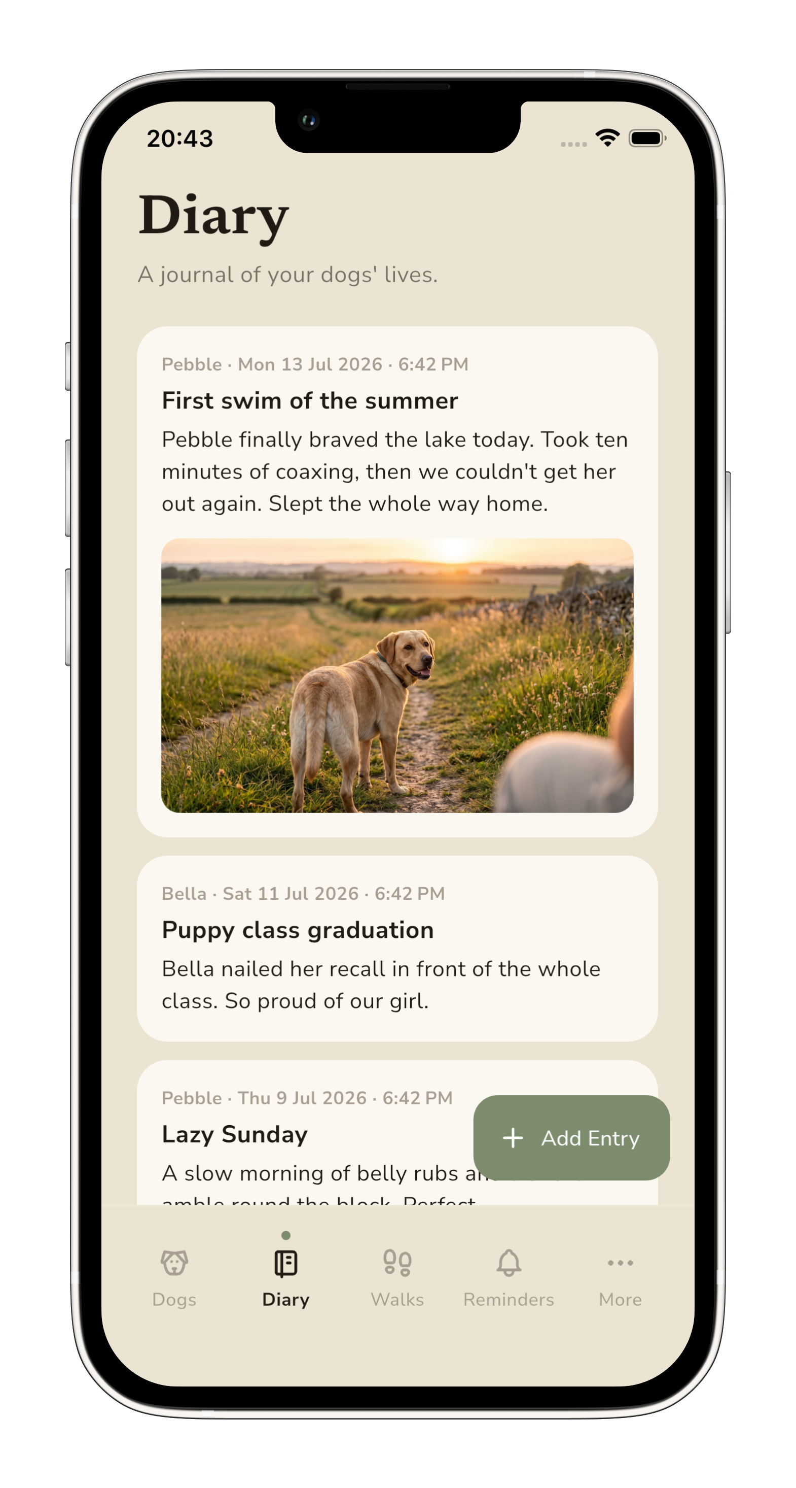 Diary tab in Pebble with a golden-hour photo of a Labrador on a walk.
